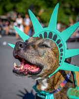 2023 Washington Square Dog Halloween Parade